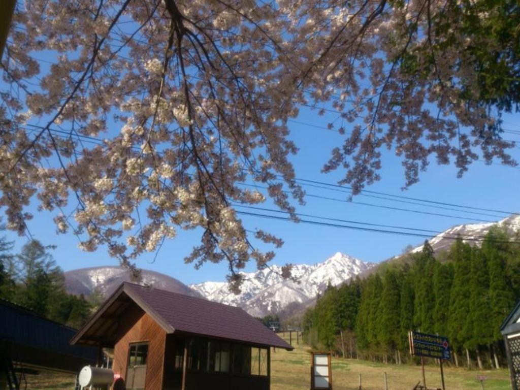 Hakuba Sun Valley Hotel Bagian luar foto